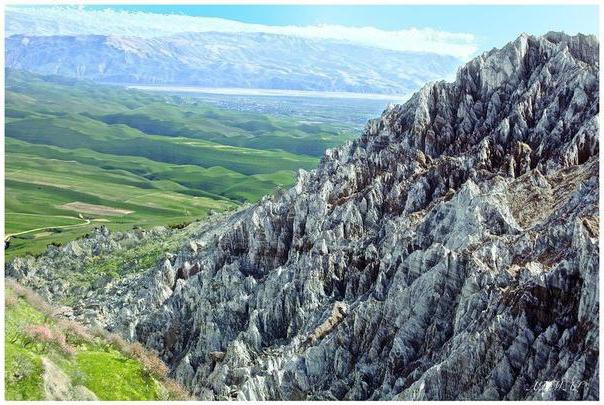 laukinė gamta Tadžikistanas bbc